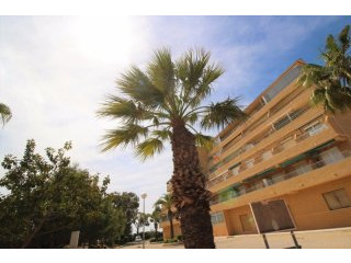 1 Bedroom - Apartment - Costa Blanca..
