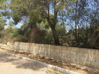 Plot with license and project in Cala..