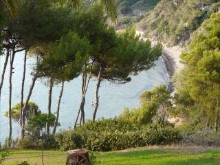 B125 - Beautiful summer apartment in..