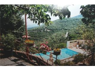 Beau Mas Sur 6,5h² Avec Piscine Et..