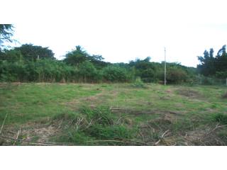 Property For Sale: Westport Lot, St...