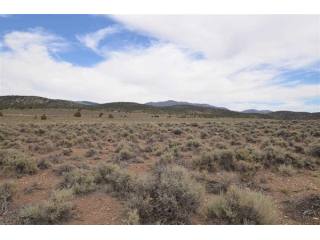 Land For Sale: Gardnerville, Nevada