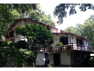 TOLFA VILLA WITH POOL