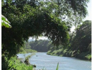 Sabaneta Organic Farm