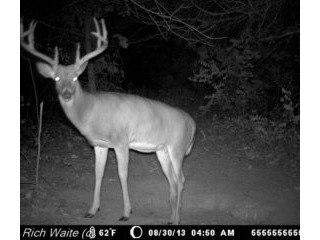 Southeast Iowa land for sale! 5254..