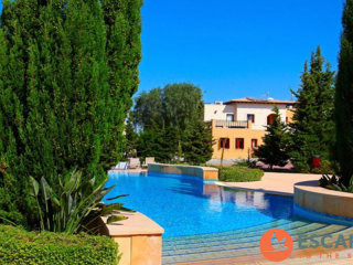 Luxury Apartment In Theseus Village