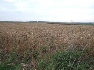 Land in Krupen, Kavarna
