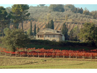 House - Umbria - For Sale