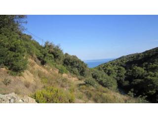 PLOT WITH SEA VIEWS IN BEGUR