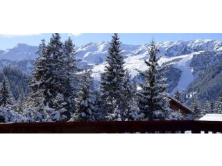 Meribel Ski Apartment