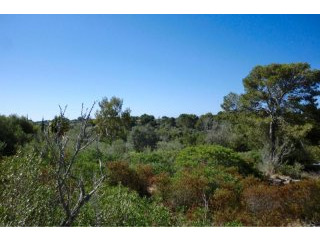 Opportunity: Plot in residential area..