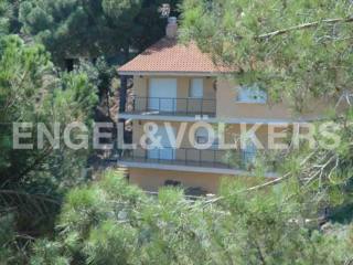 Living surrounded by nature, Barcelona..
