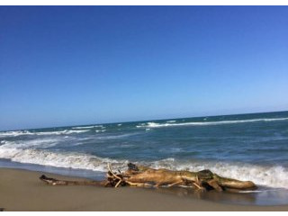 Beachfront Lot La Boca - Cabarete