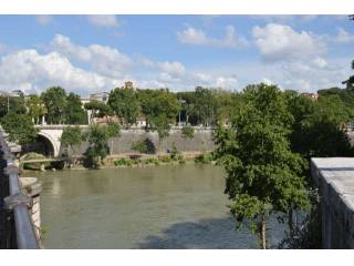 ISOLA TIBERINA, BRIGHT AND QUIET