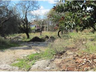 Land for sale in Valdeolletas..