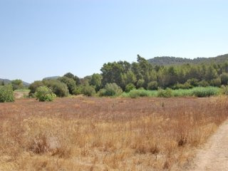 Rustic Land With Planning Permission