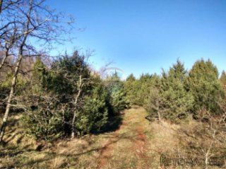 Istra, Vodnjan, Sv.Kirin- poljoprivredno zemljište 21027m2