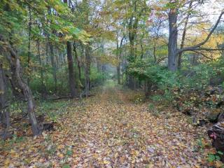 Land For Sale: Pound Ridge, New York