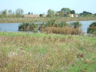 Land in Durankulak, Shabla