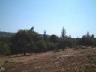Building Plot For Sale In Quiet Area -..