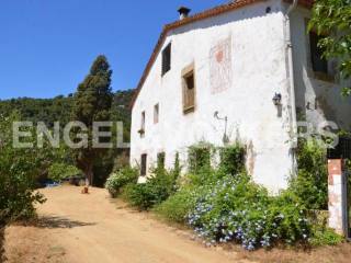 Farmhouse to horse breeding in Natural..