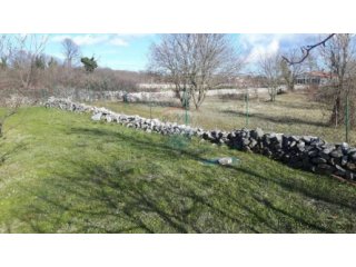 ISTRA, BARBAN : GRAĐEVINSKI TEREN 1165 m2 U ORIHIMA