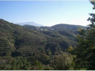 Building Plot for sale in East..