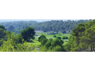 Land For Sale In Campoamor Spsnb0985