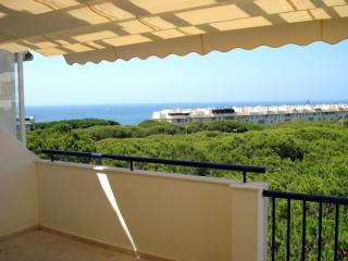 1 Bed Apartment for sale in Calahonda