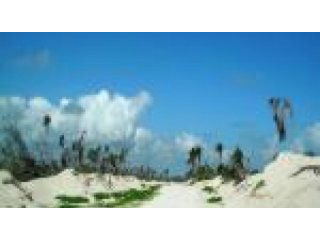 BEACH FRONT LOTS FOR SALE IN EL MAJAHUAL