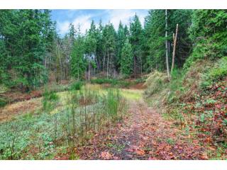 Land - For details contact Shannon..