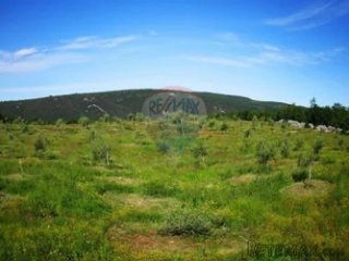 ISTRA, EKO OPG MASLINIK AGROTURIZAM 20 000 M2
