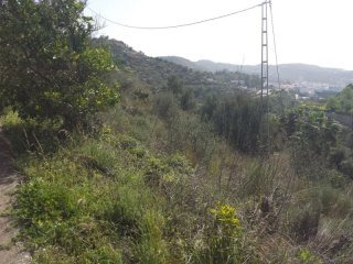 Rural land for Sale in Torrox, Torrox..
