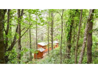 Private Riverfront Tiny Home NC