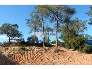 Quinta do Lago Plot