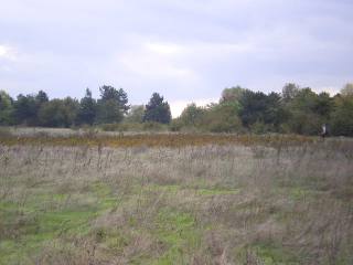 Land in Topola, Balchik