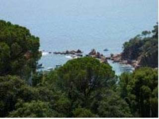 Apartments Sant Feliu De Guixols (Near..