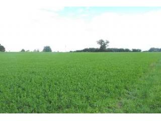 DORDOGNE land a batir of 2500 m2