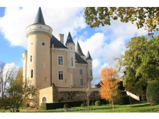 9 bedroom Castle For Sale: 36400 SAINT..