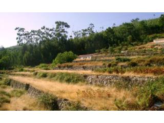 Tipical farm with 9.160 m2 of land..