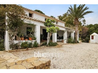 Large Mas house with 5 plots &..