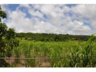Property For Sale: Blowers Lot 30, St...