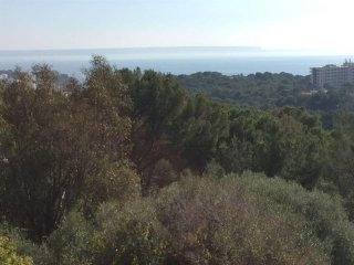 Land For Sale: Palma De Mallorca, Islas..