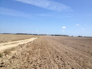 Farm S. Teotonio - Odemira