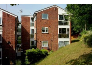 2 bed flat to rent