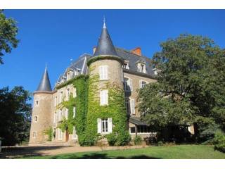 20 bedroom Castle For Sale: 71 SAONE ET..