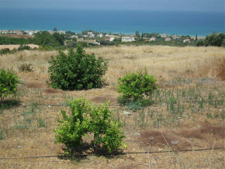 Land - Paphos - For Sale