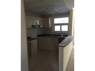 Brand New 1 Br Excellent Floor Plan and..