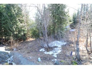 Land - For details contact Steve Vernon..