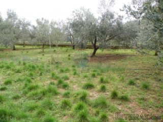 VALDEBEK, GRAĐEVINSKO ZEMLJIŠTE 774 m2